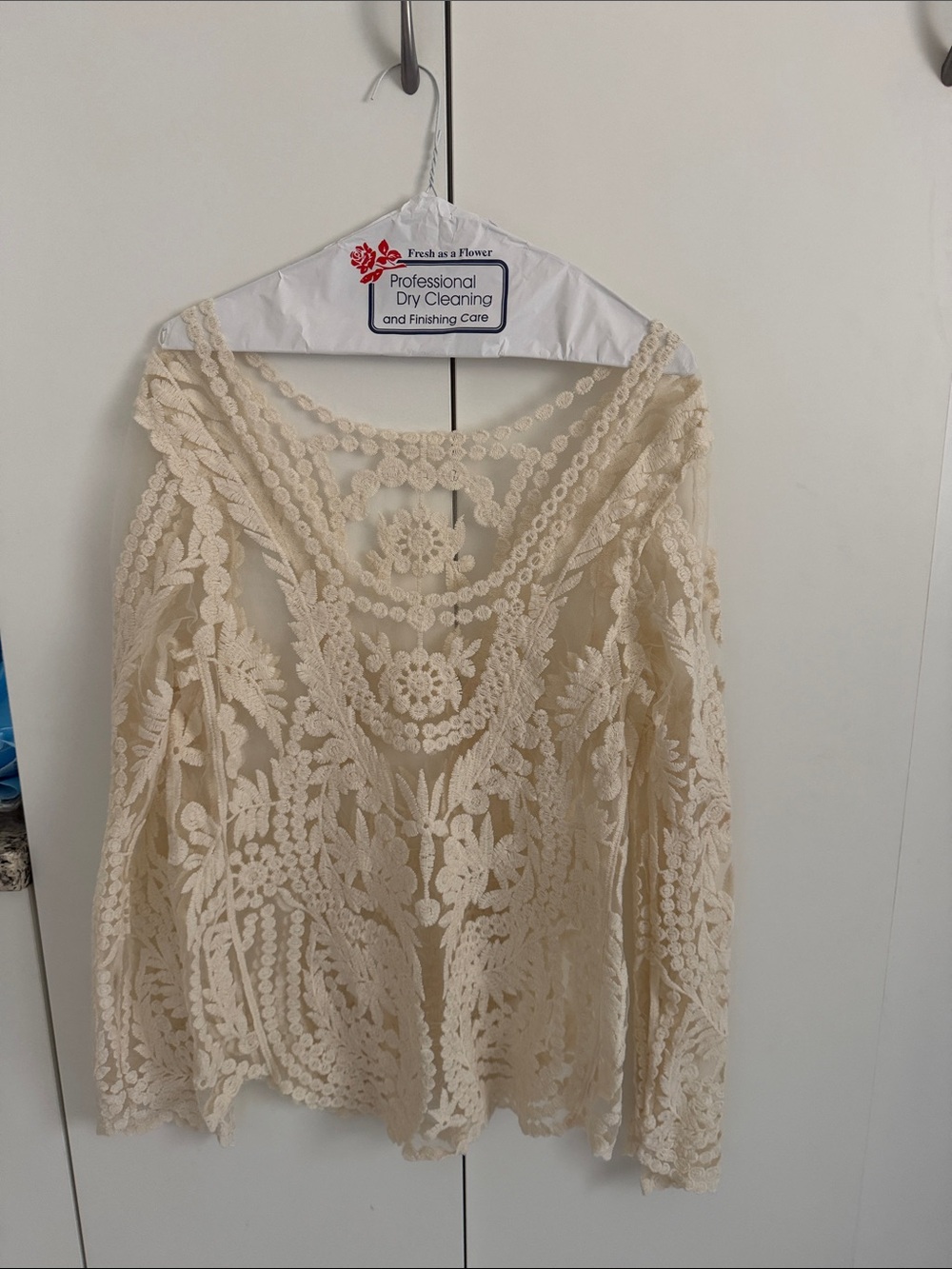 Lace Crochet Long-Sleeve Top - Cream